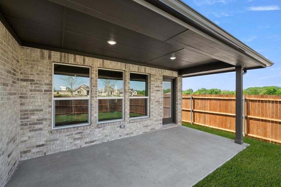 2845 Holstein- Back-4