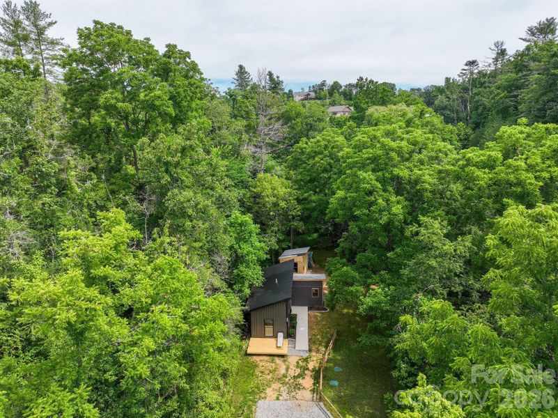 Cabin in the woods