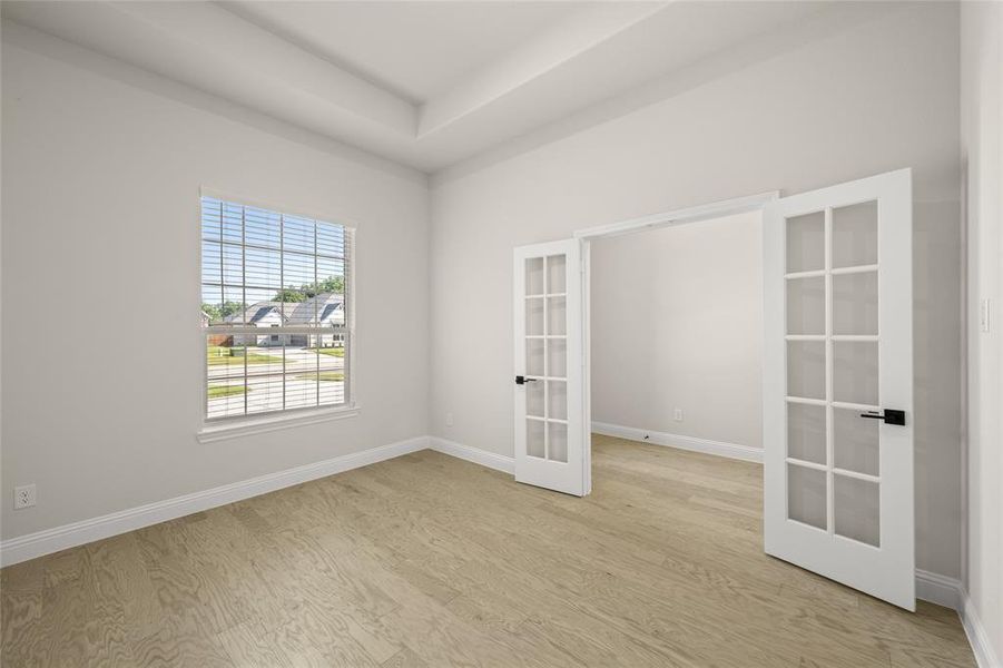 4422 Verbena- Study-1 4422 Verbena- Study-1