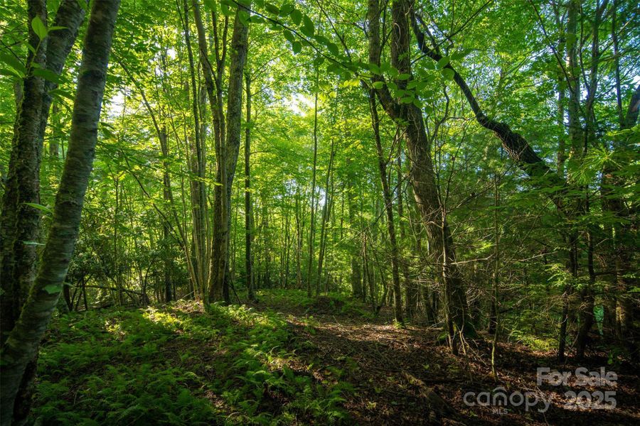 Image 16 of a home in . Image 16 of a home in .