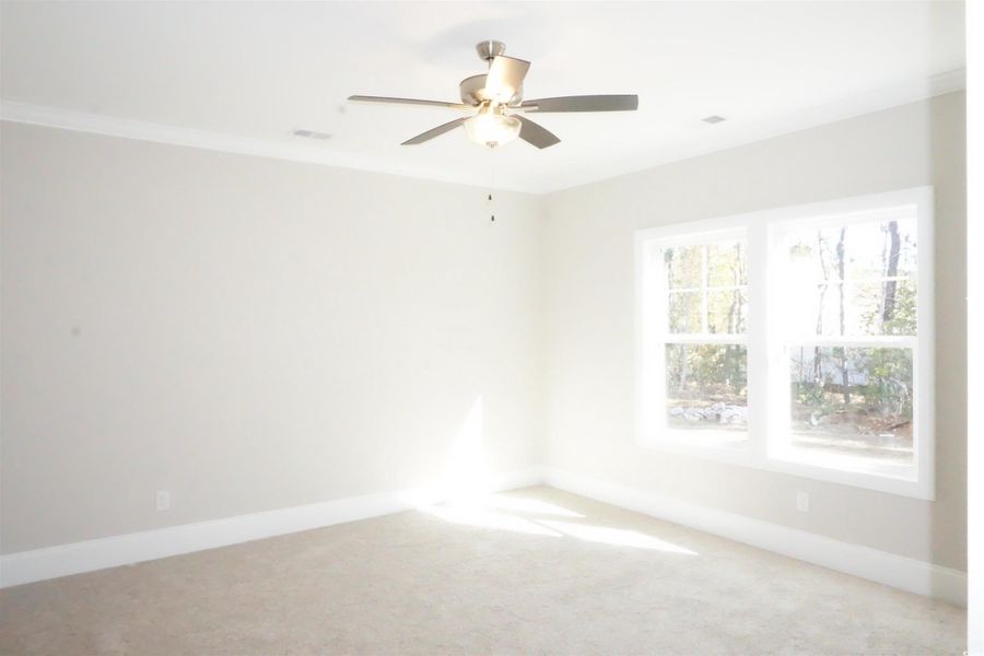 Empty room featuring carpet flooring, ceiling fan, and ornamental molding