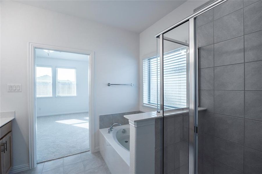 Primary Bathroom Primary Bathroom