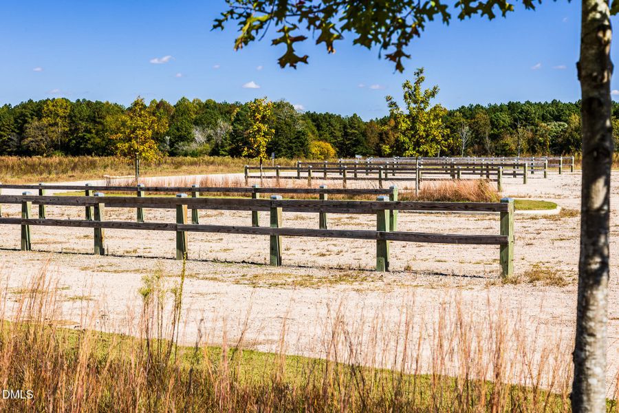 Proctor Farm Preserve (1)