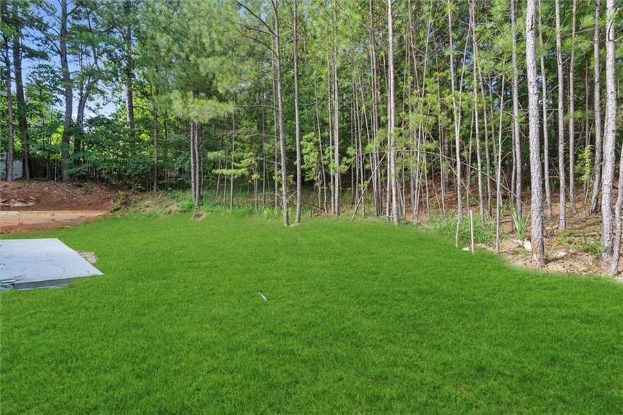 Natural landscape and outdoor views near in Dacula (Image 47). Natural landscape and outdoor views near in Dacula (Image 47).