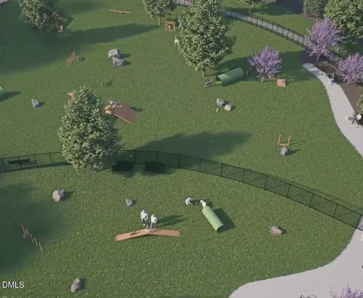Dog Park