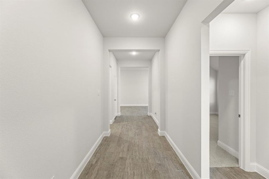 04. 103 Whistling Duck - Entry (2)