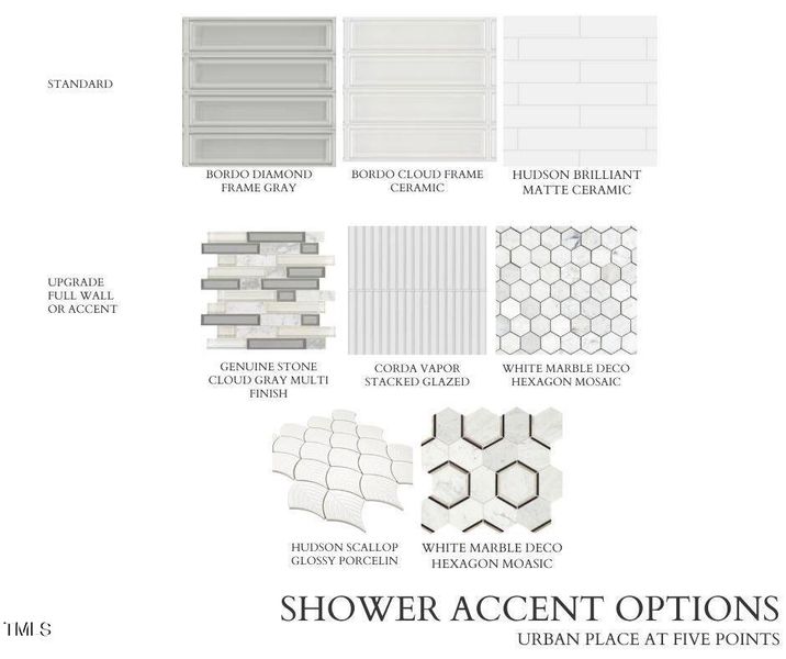 Shower Accent OPTIONS