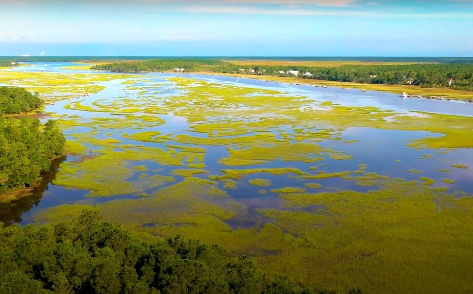 Natural landscape and outdoor views near  in Mount Pleasant (Image 57).