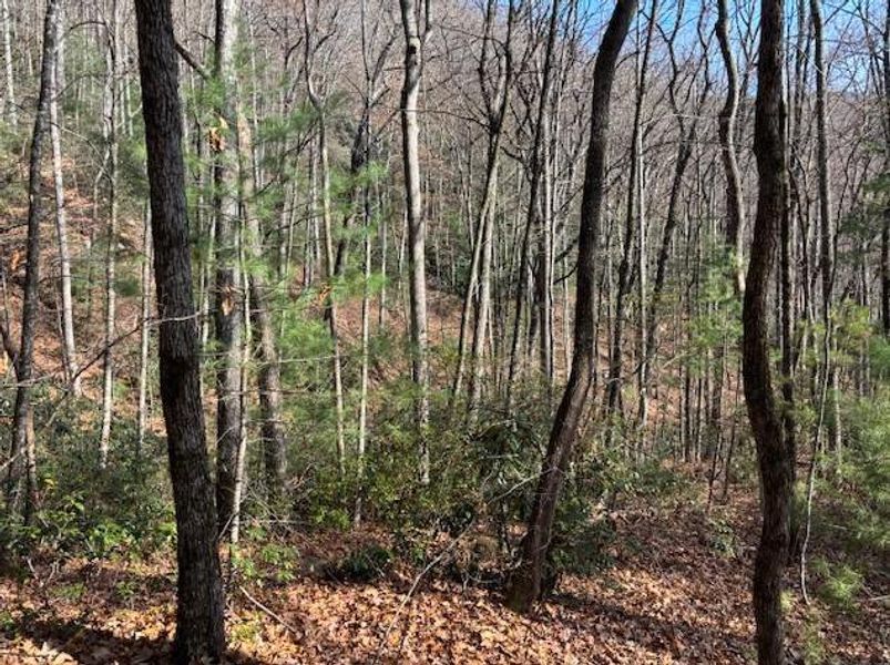 Natural landscape and outdoor views near  in Sky Valley (Image 2).
