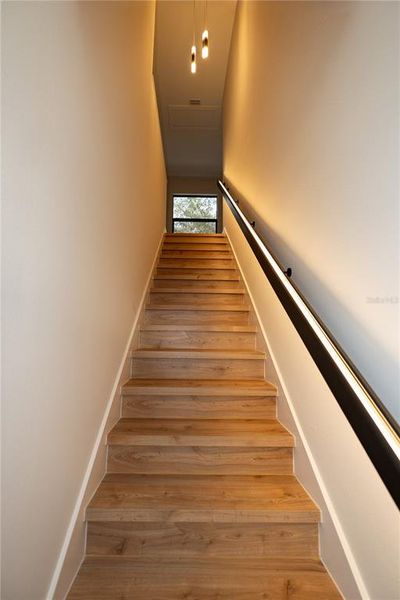 Spacious, unfurnished interior of a new home in , Tampa (Image 22).