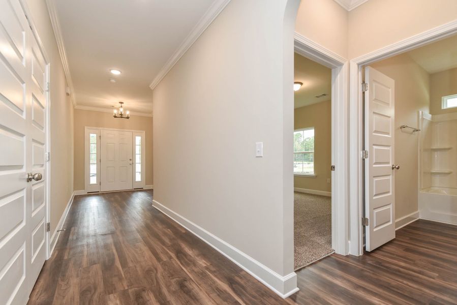 Wassaw – Hall to Foyer and Front Entry Wassaw – Hall to Foyer and Front Entry