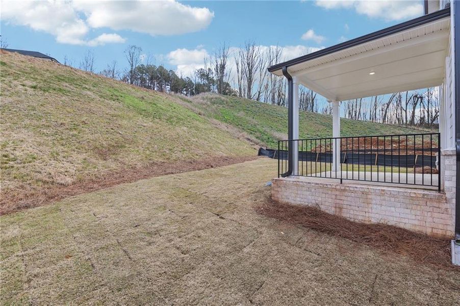 Exterior details and patio area of a home in Hemingway - Reserve Series, Cumming (Image 29).