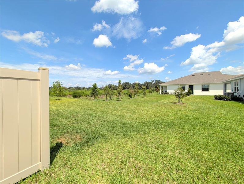 Exterior details and patio area of a home in Farm at Varrea Villas, Plant City (Image 4).