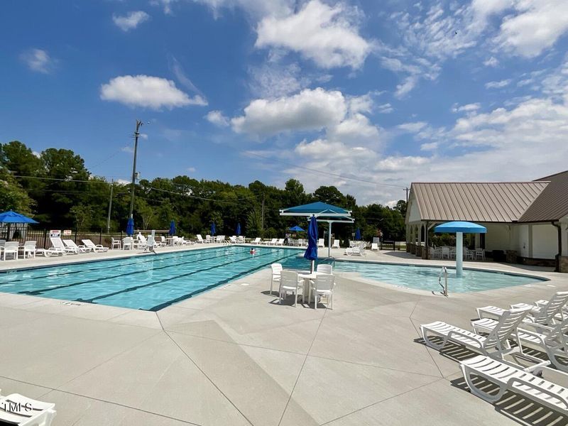 IMG_1099 Large IMG_1099 Large