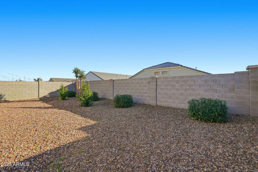 Backyard Desert Landscape