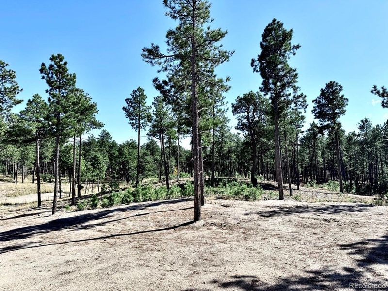Natural landscape and outdoor views near in Colorado Springs (Image 22). Natural landscape and outdoor views near in Colorado Springs (Image 22).