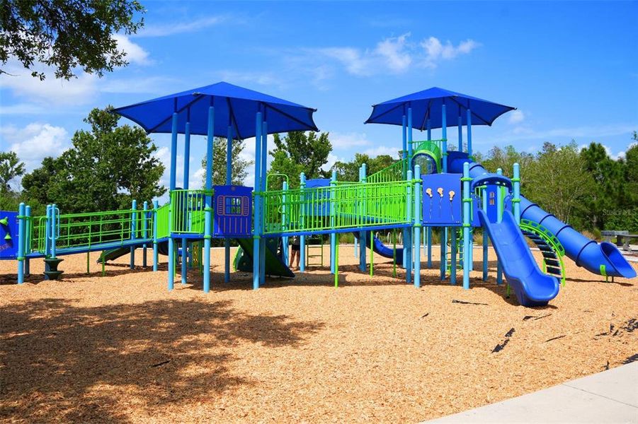 Community amenities in , Land O' Lakes (Image 43).