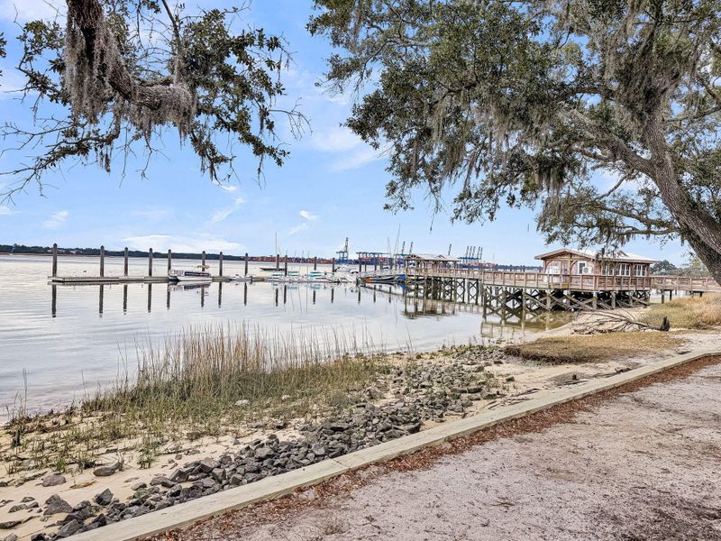 Natural landscape and outdoor views near Daniel Island Park in Charleston (Image 87).