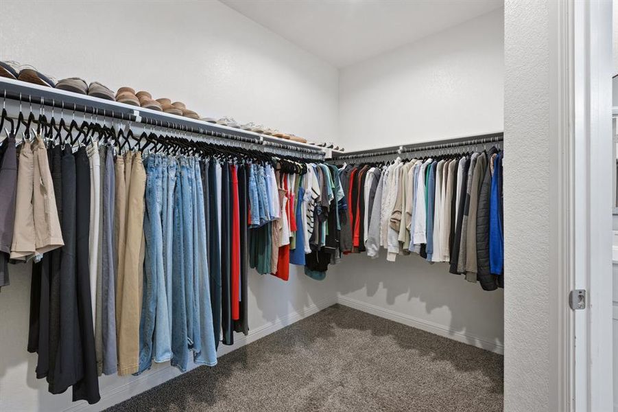 Primary Walk-in closet featuring carpet Primary Walk-in closet featuring carpet