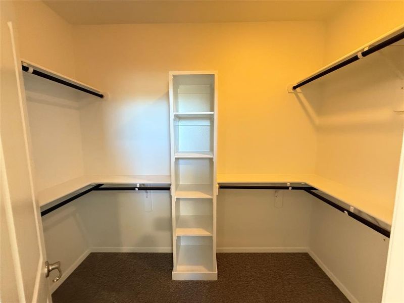 Walk in closet with carpet floors