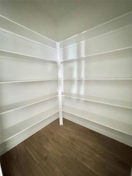 View of the walk in pantry
