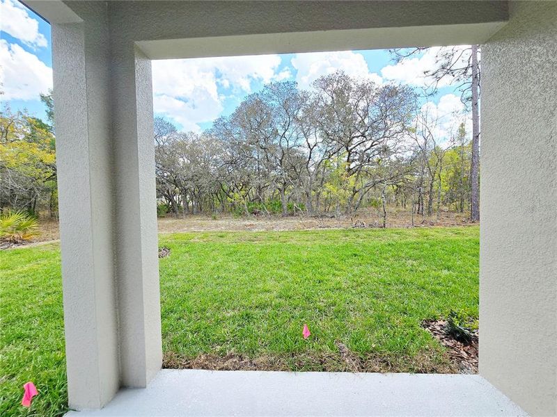 Exterior details and patio area of a home in , Homosassa (Image 37).