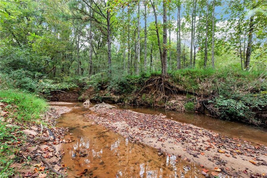 Natural landscape and outdoor views near  in Auburn (Image 46).