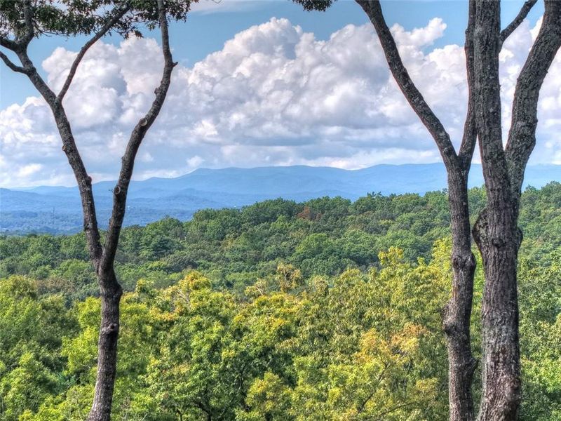 Natural landscape and outdoor views near  in Morganton (Image 49).