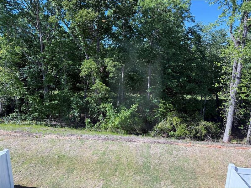 Natural landscape and outdoor views near Millstone at Mundy Mill in Gainesville (Image 29).
