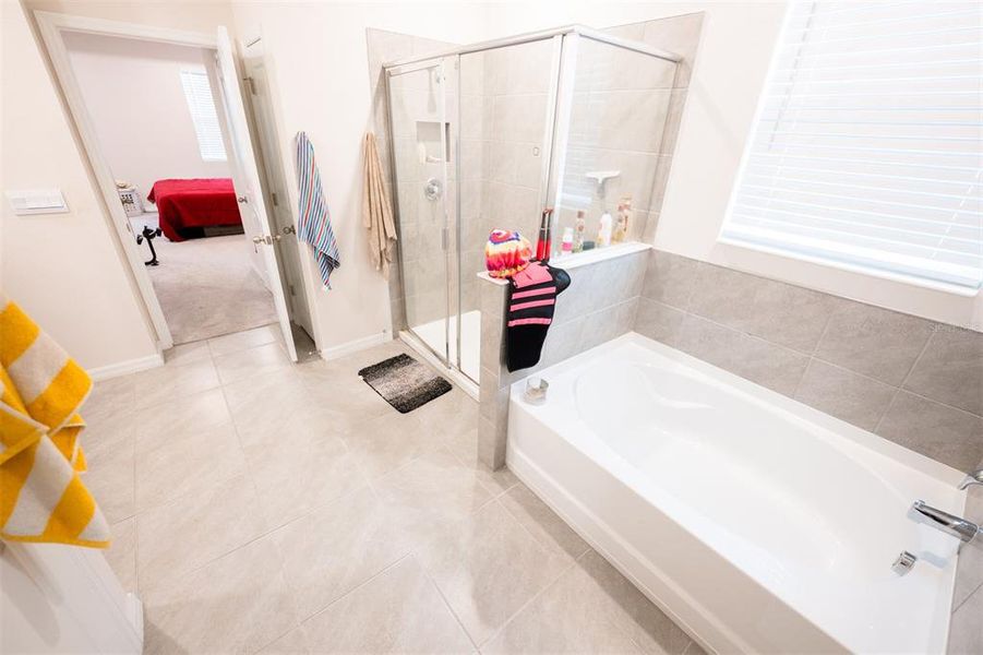 Furnished interior view inside a new home in North Park Isle, Plant City (Image 10).