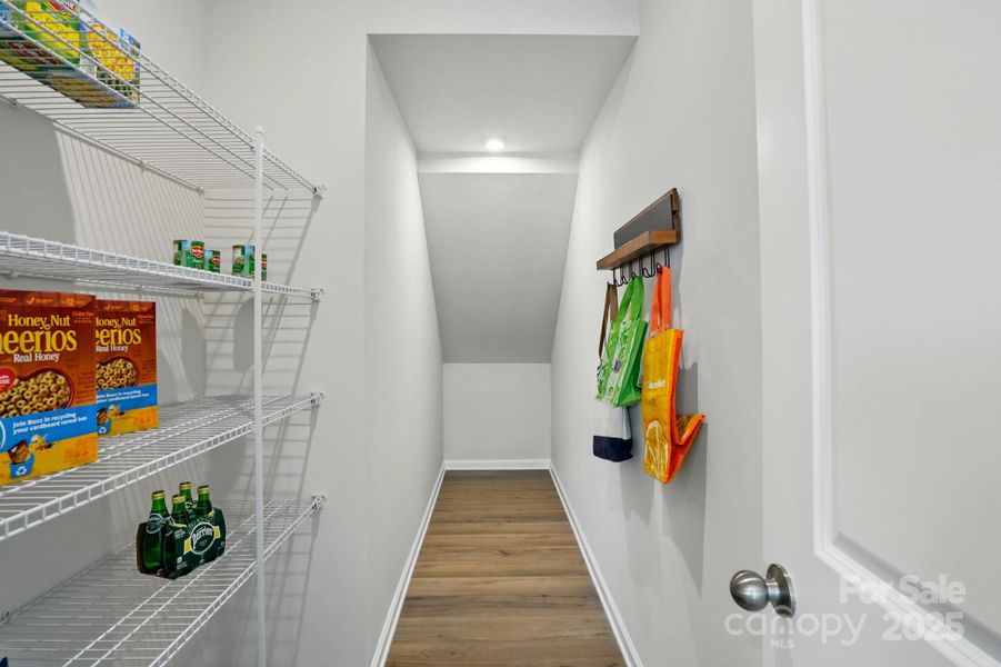 Furnished interior view inside a new home in Arbor Chase, Clover (Image 6).