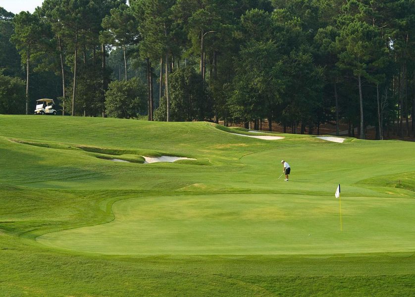 Natural landscape and outdoor views near Mulberry Landing in Orangeburg (Image 29).
