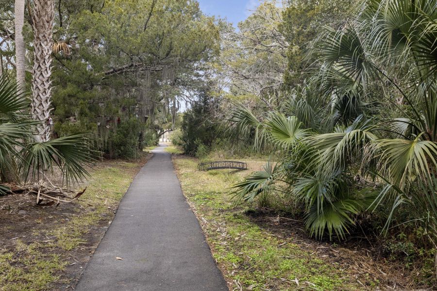 Natural landscape and outdoor views near  in Edisto Island (Image 47).