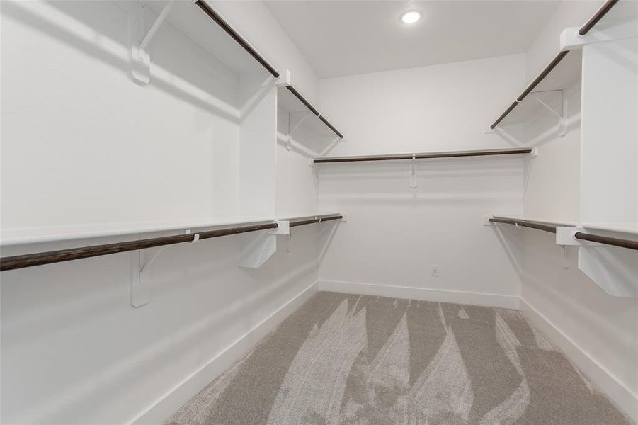 Spacious closet featuring carpet