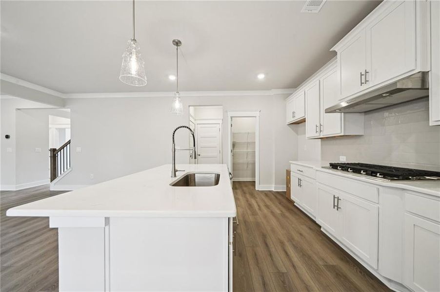 Furnished interior view inside a new home in Rosewood Lake Estates, Hoschton (Image 16).