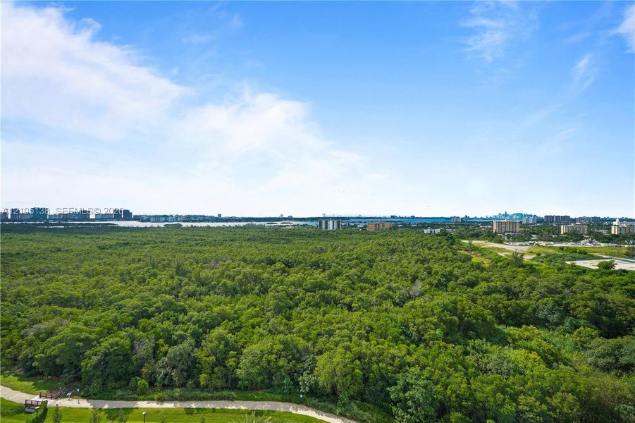 Natural landscape and outdoor views near  in North Miami (Image 66).