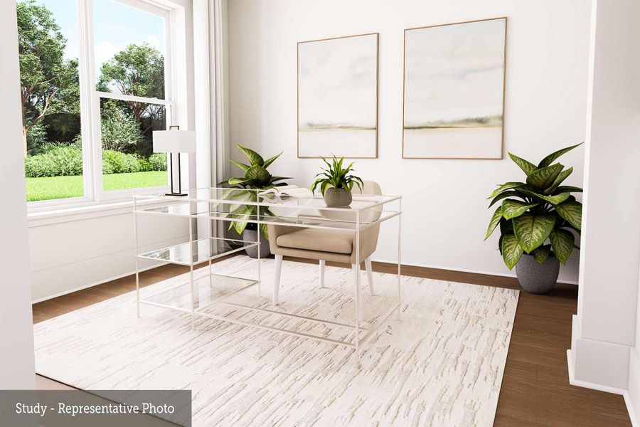 The Snapdragon - Study The Snapdragon - Study