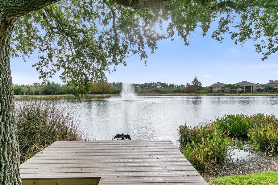 Natural landscape and outdoor views near  in St. Petersburg (Image 69).