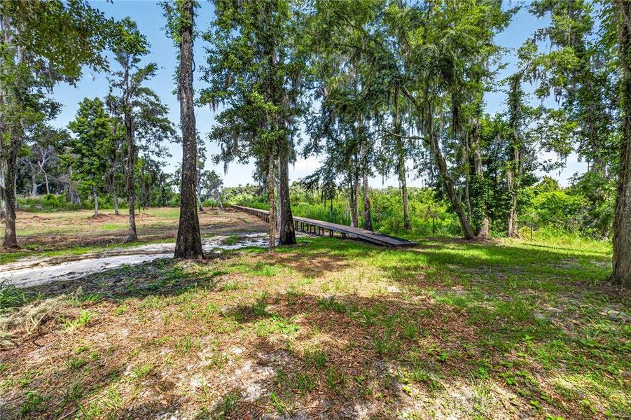 Natural landscape and outdoor views near  in Dade City (Image 55).