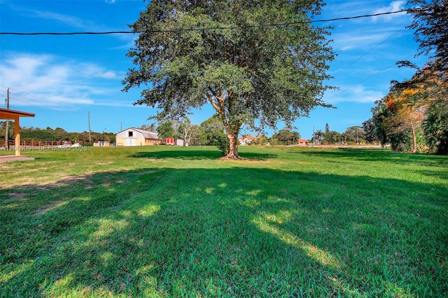 Natural landscape and outdoor views near  in Miramar (Image 15).