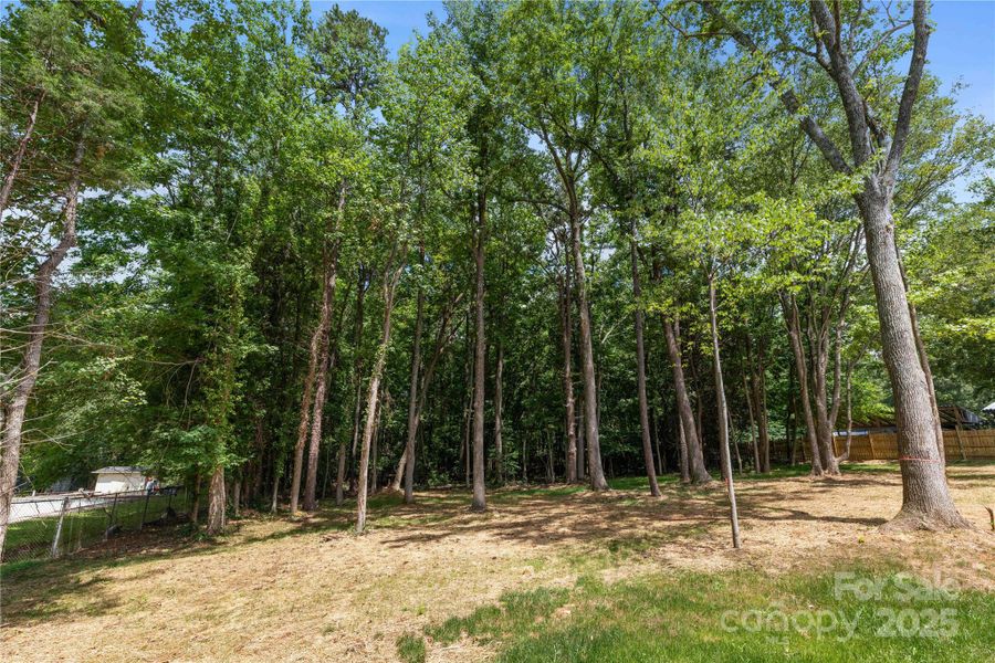 Natural landscape and outdoor views near  in Charlotte (Image 28).