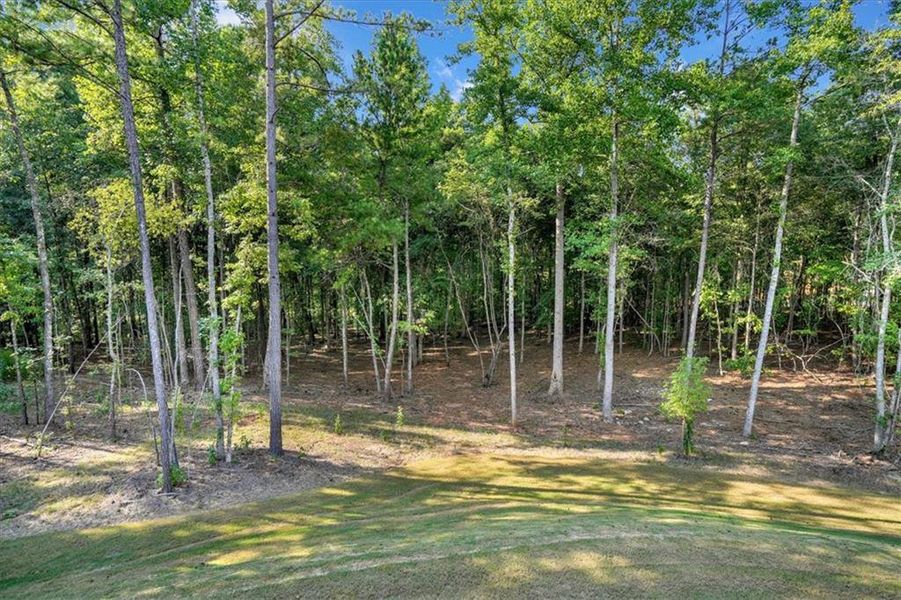 Natural landscape and outdoor views near  in Fayetteville (Image 90).
