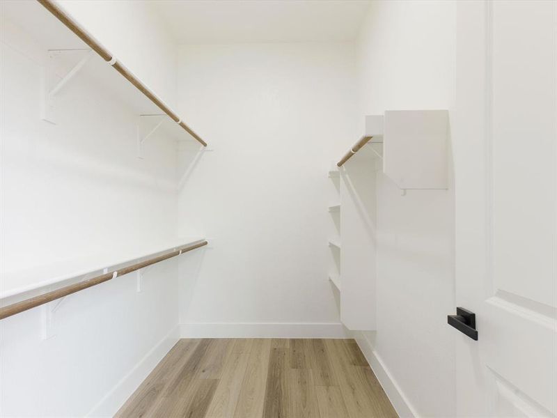 Walk in closet with light wood-type flooring