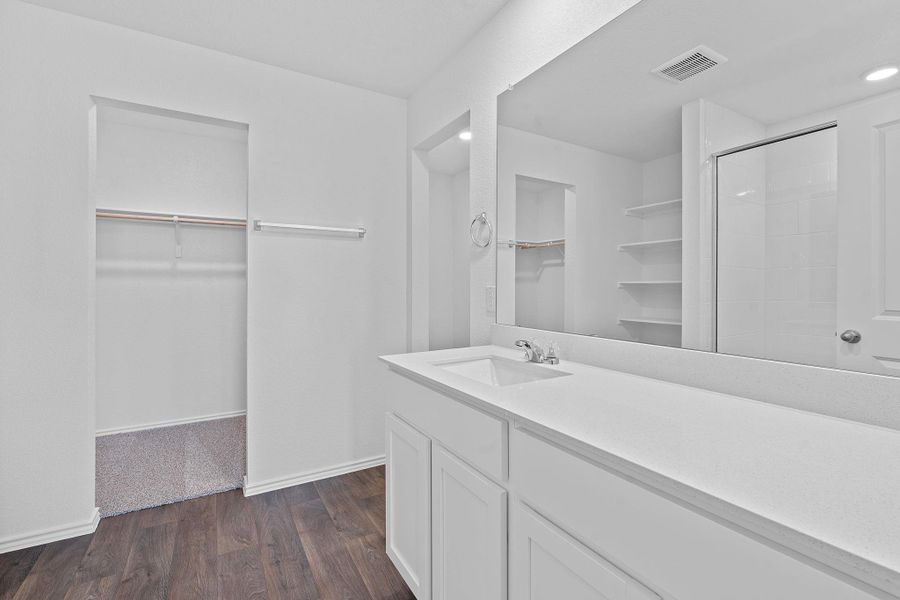 Full bath featuring a walk in closet, dark wood-style floors, vanity, and a shower stall Full bath featuring a walk in closet, dark wood-style floors, vanity, and a shower stall