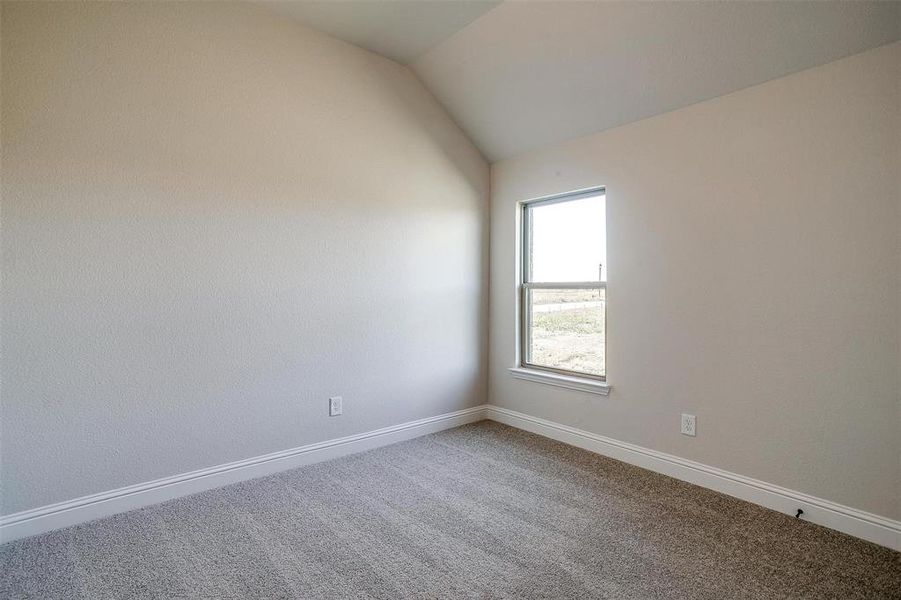 Spare room with carpet and vaulted ceiling