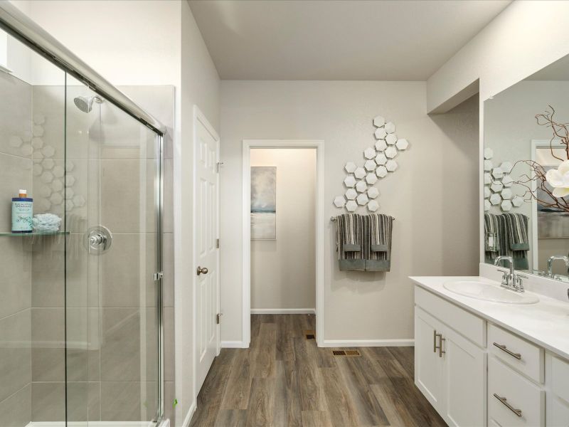 Furnished interior view inside a new home in Poudre Heights: The Alpine Collection, Windsor (Image 9).