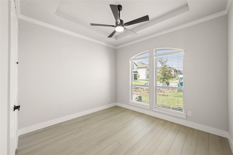 2213 Pelican- Study-1