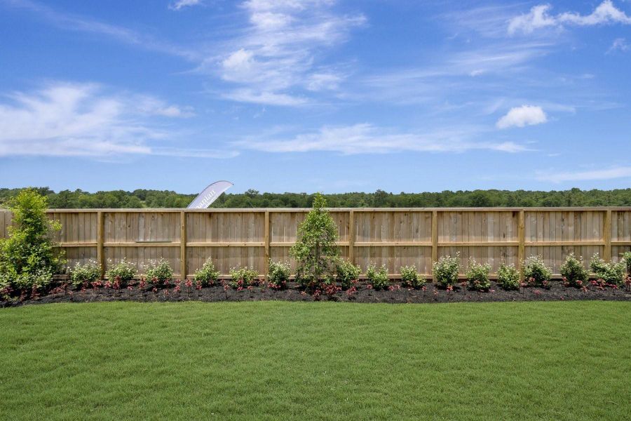 Lush landscaping in the backyard Lush landscaping in the backyard