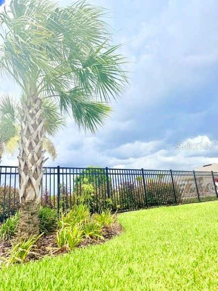Natural landscape and outdoor views near  in Winter Haven (Image 31).