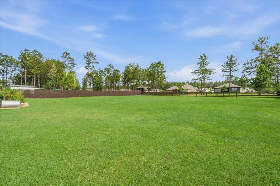 Natural landscape and outdoor views near Deer Pines in Conroe (Image 37).